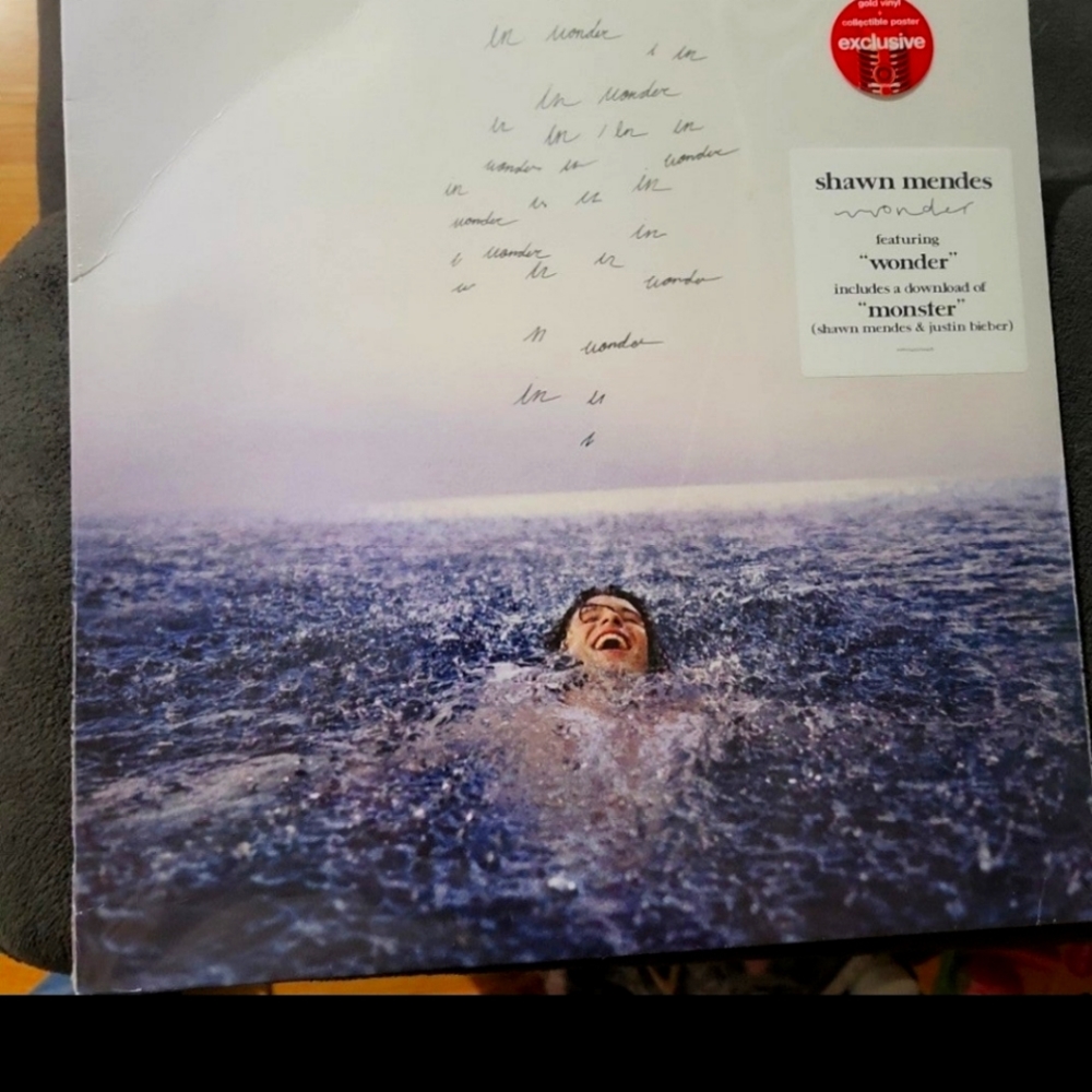 Shawn Mendez Wonder Vinyl